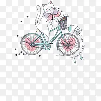 骑自行车的猫