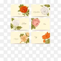 6款复古花卉卡片矢量素材