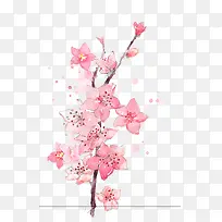 手绘粉色的桃花瓣树枝