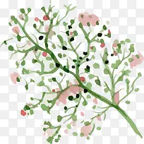 手绘水彩树枝