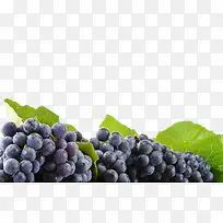 黑色新鲜水果葡萄
