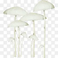 卡通白色蘑菇金针菇