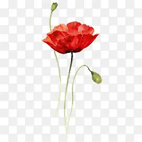 抽象鲜花手绘花朵素材 红色花束