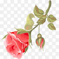 创意合成水彩红色的玫瑰花