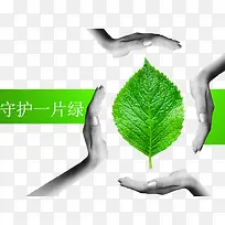 守护一片绿