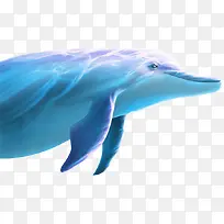 游动蓝色海豚免抠PNG图片