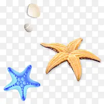 漂亮的海星