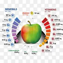 苹果营养结构矢量图