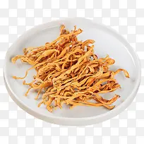 虫草花图片