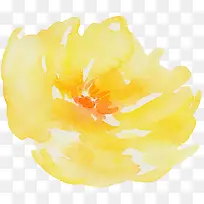 手绘水彩玫瑰花装饰元素