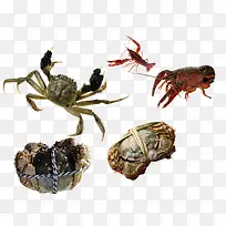 螃蟹和龙虾