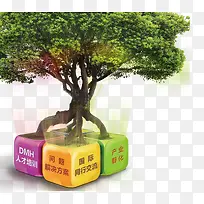 人才培训成长树