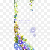 牵牛花边框