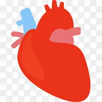 大红色心脏器官手绘图