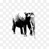 黑白大象线条轮廓画