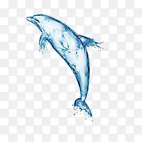 蓝色高清水花海豚