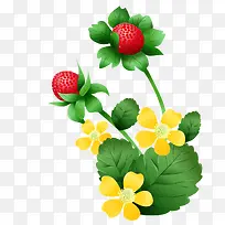 卡通草莓花朵