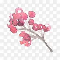 彩绘红色果实