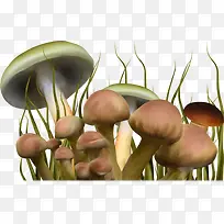 童话世界卡通手绘蘑菇
