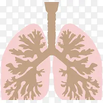 肺和支气管