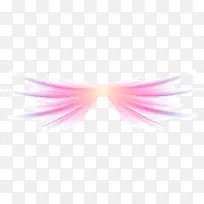粉色漂亮翅膀