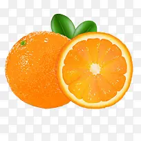 橙子插画高清素材
