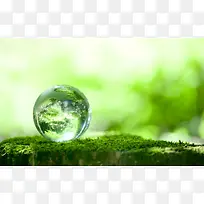 玻璃球 景色 绿色 环保 青苔