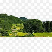 山里的稻田