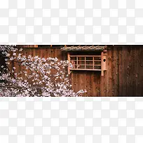 日式建筑樱花