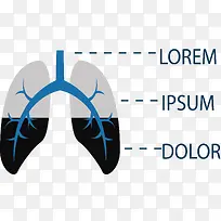 肺部污染分类图