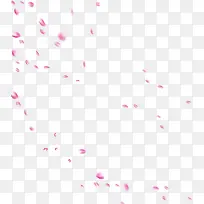 散落的粉色花瓣