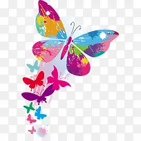 色彩斑斓蝴蝶花纹图案