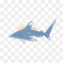 矢量鲨鱼