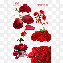 合成创意红色的玫瑰花形状