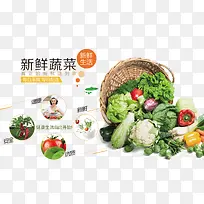 新鲜蔬菜宣传展板