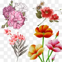 油彩手绘花束