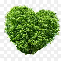 环保绿色爱心树林
