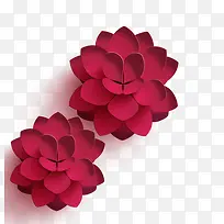 节日红花