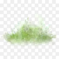 绿色手绘草丛