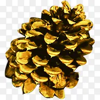 金色松果情暖冬日海报