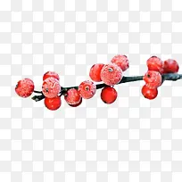 打霜的越莓果