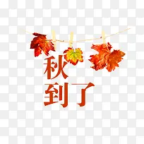 秋天到了