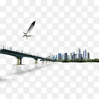 跨海大桥海鸥城市