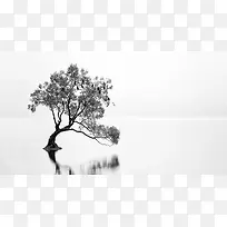 湖面上的大树高清壁纸