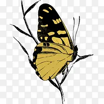 黄色蝴蝶采蜜矢量图