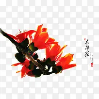 橙色木棉花带文字