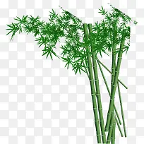 竹子梦幻创意植物