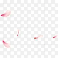 粉色漂浮花瓣创意