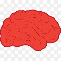 红色的脑子