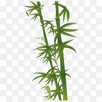绿色竹子装饰图